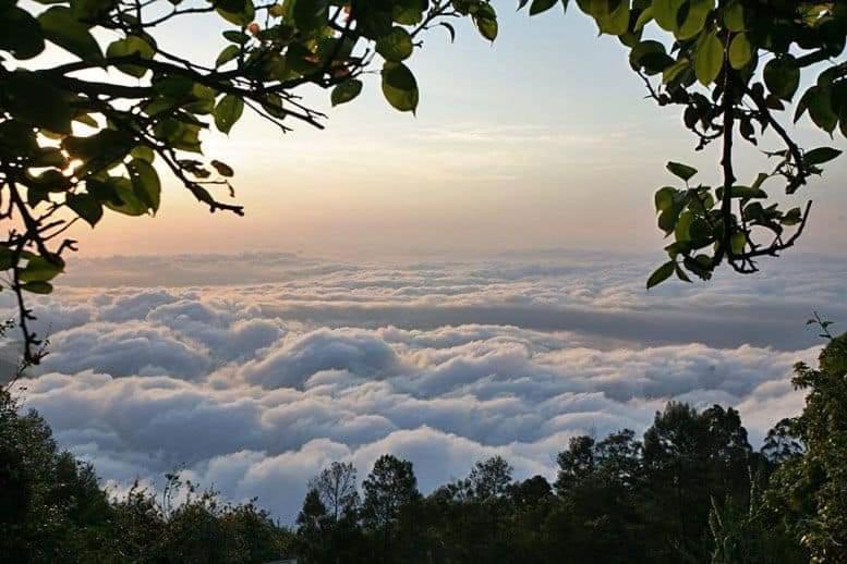 Minus 1 Hotel Kodaikanal Ngoại thất bức ảnh